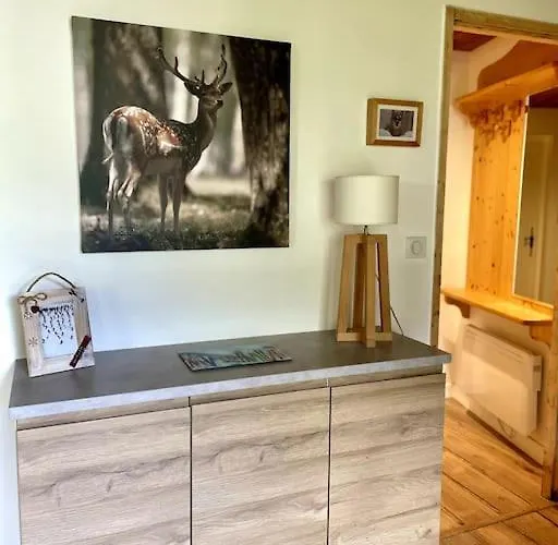 4 P Avec Terrasse Proche Remontée Mécanique Appartement *